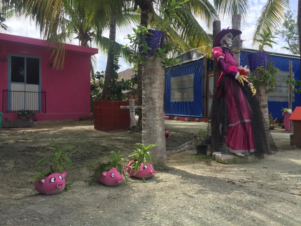 Hotel Hacienda La Catrina Остров Холбокс Экстерьер фото