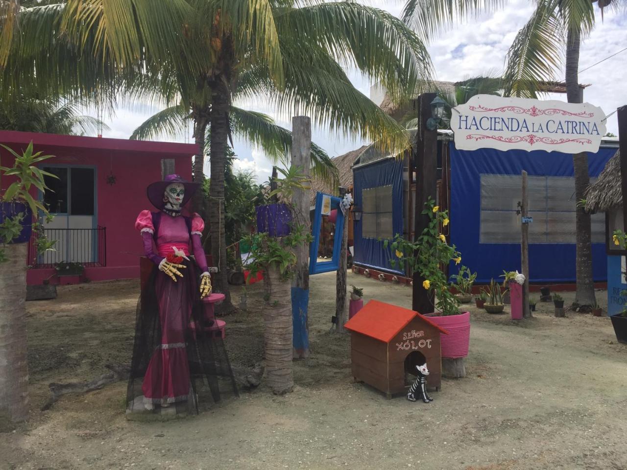 Hotel Hacienda La Catrina Остров Холбокс Экстерьер фото